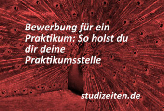 Bewerbung Praktikum, Praktikumsbewerbung