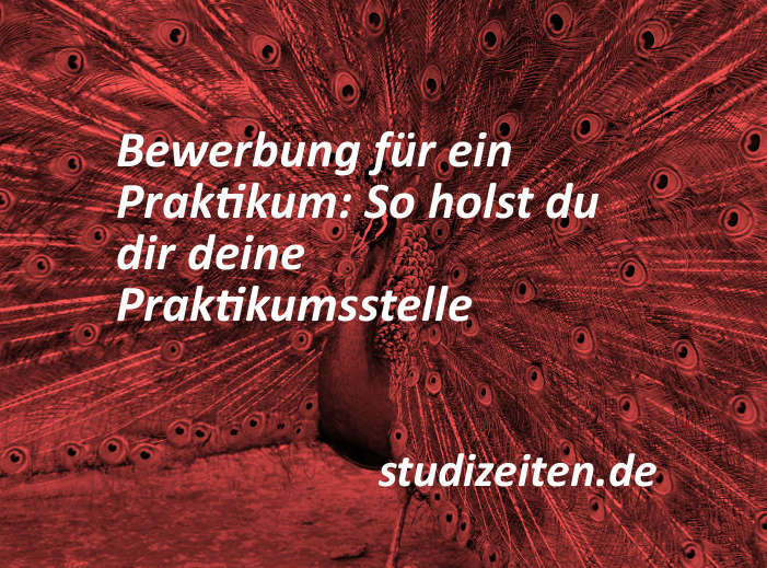 Bewerbung Praktikum, Praktikumsbewerbung