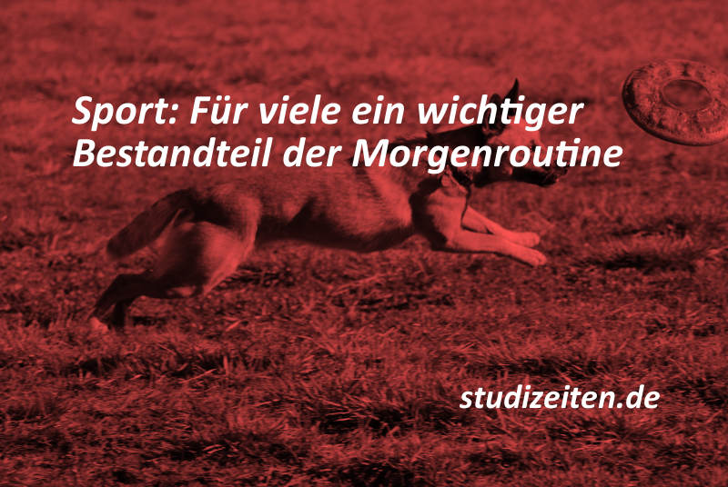 Sport in der Morgenroutine